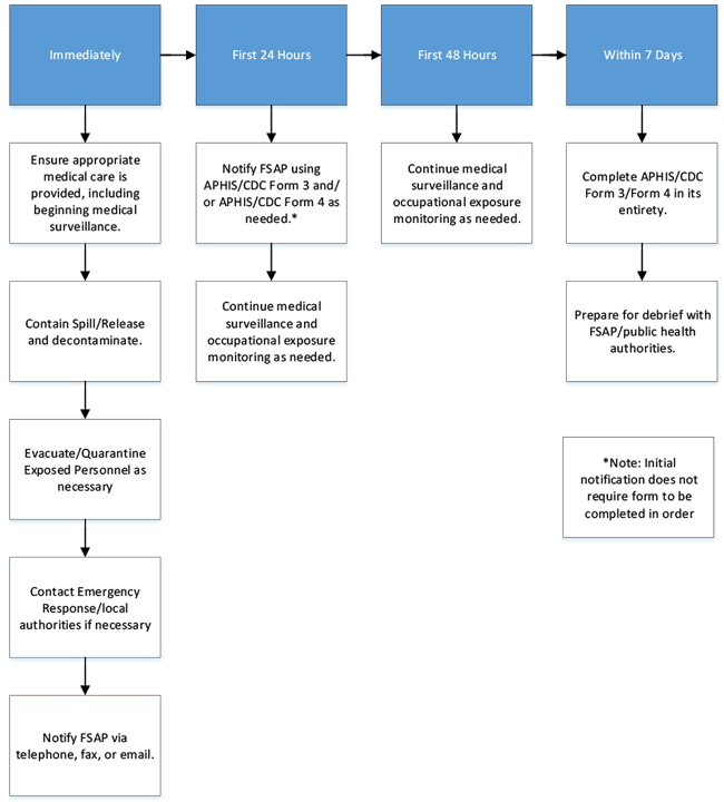 incident response timeline