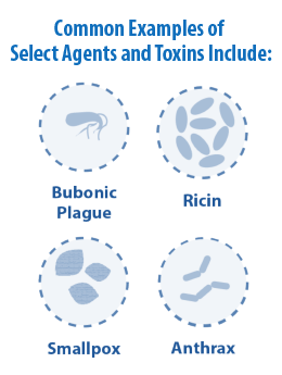 sat-examples Common Examples of Select Agents and Toxins Include: