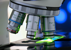microscope blog link image